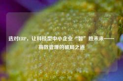 选对ERP，让科技型中小企业“智”胜未来——高效管理的破局之道