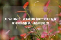 抢占未来风口！新能源科技型中小企业补贴政策红利全面释放，机遇不容错过！