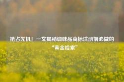 抢占先机！一文揭秘调味品商标注册前必做的“黄金检索”