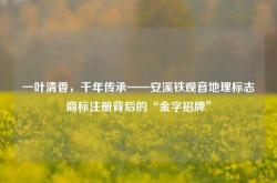 一叶清香，千年传承——安溪铁观音地理标志商标注册背后的“金字招牌”