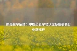 擦亮金字招牌：中医药老字号认定标准引领行业新标杆