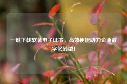 一键下载软著电子证书，高效便捷助力企业数字化转型！