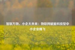 智联万物，小企大未来：物联网赋能科技型中小企业腾飞