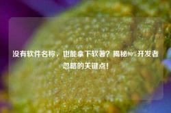 没有软件名称，也能拿下软著？揭秘90%开发者忽略的关键点！