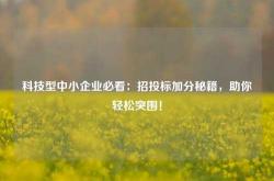 科技型中小企业必看：招投标加分秘籍，助你轻松突围！