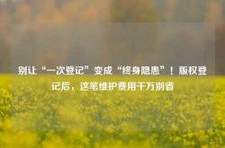 别让“一次登记”变成“终身隐患”！版权登记后，这笔维护费用千万别省