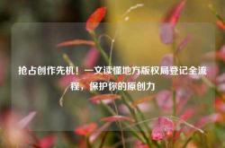 抢占创作先机！一文读懂地方版权局登记全流程，保护你的原创力