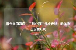 掘金电商蓝海！广州公司注册全攻略，助你抢占流量红利
