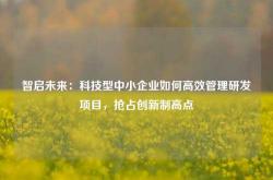 智启未来：科技型中小企业如何高效管理研发项目，抢占创新制高点