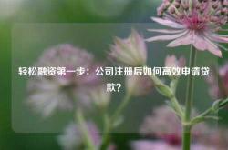 轻松融资第一步：公司注册后如何高效申请贷款？
