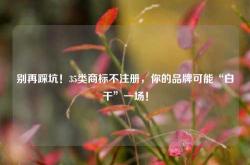 别再踩坑！35类商标不注册，你的品牌可能“白干”一场！