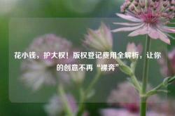 花小钱，护大权！版权登记费用全解析，让你的创意不再“裸奔”