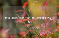 融资or贷款？选对“钱”路，企业腾飞快人一步！