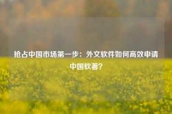 抢占中国市场第一步：外文软件如何高效申请中国软著？