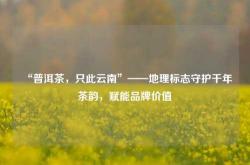 “普洱茶，只此云南”——地理标志守护千年茶韵，赋能品牌价值