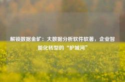 解锁数据金矿：大数据分析软件软著，企业智能化转型的“护城河”