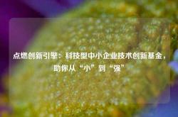 点燃创新引擎：科技型中小企业技术创新基金，助你从“小”到“强”