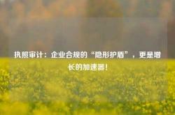 执照审计：企业合规的“隐形护盾”，更是增长的加速器！