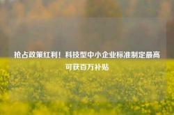 抢占政策红利！科技型中小企业标准制定最高可获百万补贴