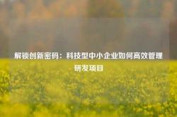 解锁创新密码：科技型中小企业如何高效管理研发项目