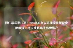 抓住最后窗口期！2024年加拿大商标续展新规全面解读，错过或将损失品牌资产