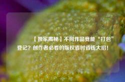 🔥【独家揭秘】不同作品竟能“打包”登记？创作者必看的版权省时省钱大招！