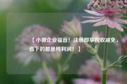 🔥【小微企业福音！注册即享税收减免，省下的都是纯利润！】🔥