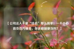 【公司法人不是“挂名”那么简单！一不小心背负百万债务，你还敢随便当吗？】