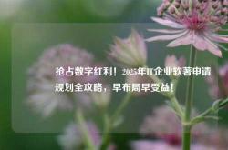 🔥抢占数字红利！2025年IT企业软著申请规划全攻略，早布局早受益！