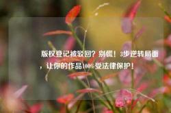 🔥版权登记被驳回？别慌！3步逆转局面，让你的作品100%受法律保护！