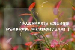 🔥【抢占数字资产高地！软著申请质量评估标准全解析，90%企业都忽略了这几点！】🔥