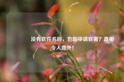 🔥没有软件名称，也能申请软著？真相令人意外！
