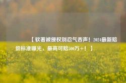 🔥【软著被侵权别忍气吞声！2024最新赔偿标准曝光，最高可赔500万+！】🔥