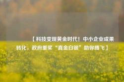 🌟【科技变现黄金时代！中小企业成果转化，政府重奖“真金白银”助你腾飞】🌟