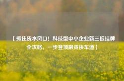 【抓住资本风口！科技型中小企业新三板挂牌全攻略，一步登顶融资快车道】