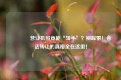 🔥营业执照竟能“转手”？别踩雷！合法转让的真相全在这里！