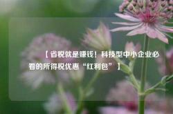 🔥【省税就是赚钱！科技型中小企业必看的所得税优惠“红利包”】🔥