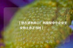 🔥【抢占资本风口！科技型中小企业北交所上市正当时】🔥