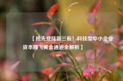 🔥【抢先登陆新三板！科技型中小企业资本腾飞黄金通道全解析】🔥