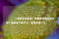 🔥【高新企业福音！软著申请竟能领补贴？最高省下数万元，速看攻略！】🔥