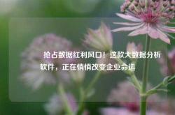 🔥抢占数据红利风口！这款大数据分析软件，正在悄悄改变企业命运
