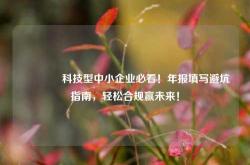 🔥科技型中小企业必看！年报填写避坑指南，轻松合规赢未来！