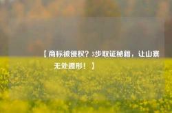 🔥【商标被侵权？3步取证秘籍，让山寨无处遁形！】🔥