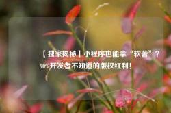 🔥【独家揭秘】小程序也能拿“软著”？90%开发者不知道的版权红利！