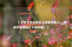 🔥【手把手教你搞定公司版权登记，3步保护创意资产不被白嫖！】🔥