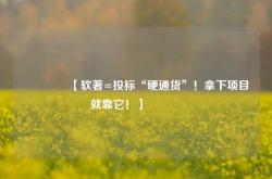 🔥【软著=投标“硬通货”！拿下项目就靠它！】🔥