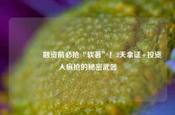 🔥融资前必抢“软著”！3天拿证+投资人疯抢的秘密武器