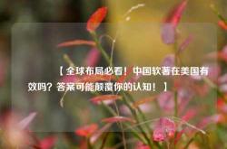 🔥【全球布局必看！中国软著在美国有效吗？答案可能颠覆你的认知！】🔥
