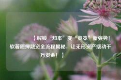 🔥【解锁“知本”变“资本”新姿势！软著质押融资全流程揭秘，让无形资产撬动千万资金！】🔥