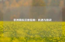 非洲商标注册指南：机遇与挑战